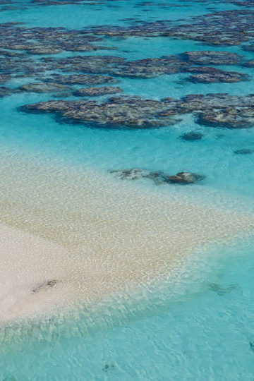paddle boarders on the ocean