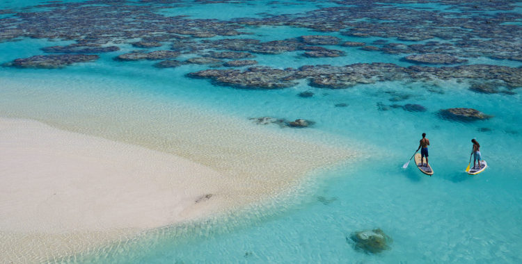 paddle boarders on the ocean