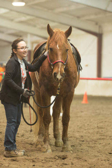 young woman with a horse