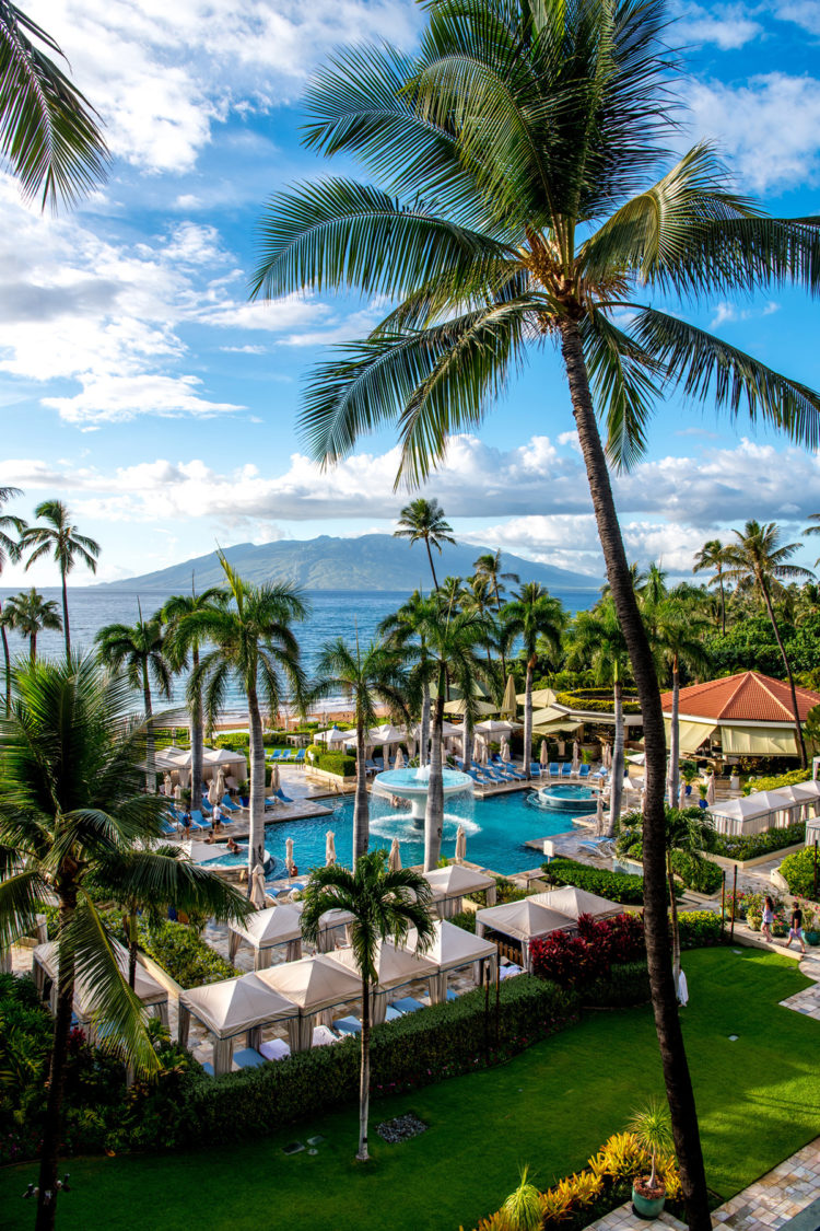 resort with palm trees
