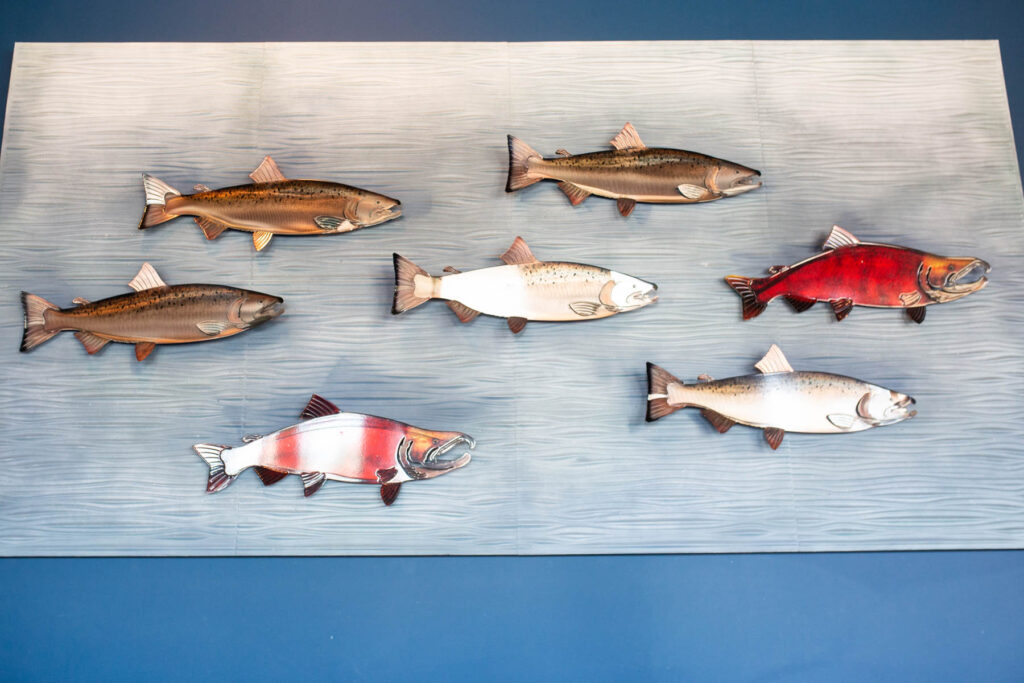 fish on a display board