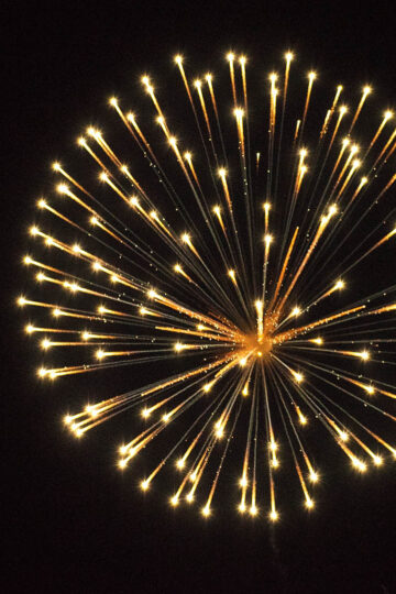 fireworks in night sky