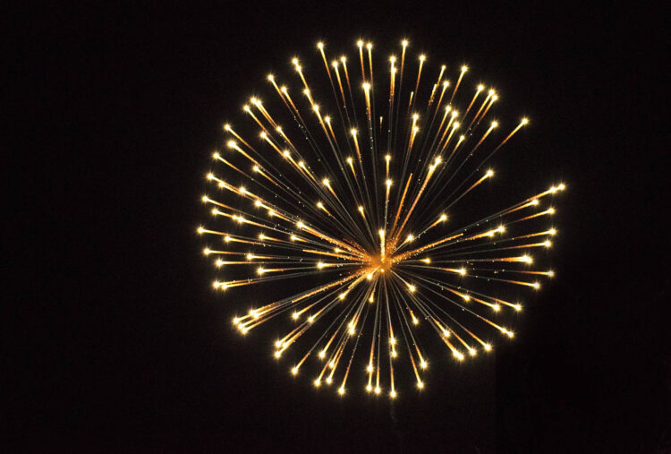 fireworks in night sky