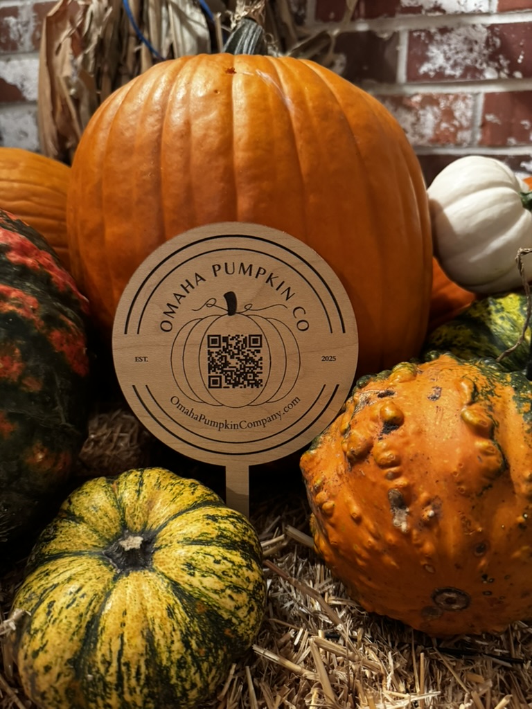 our view edge october 2026 the pumpkin company