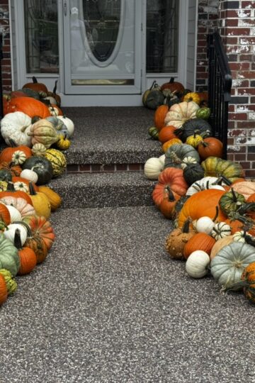 our view edge october 2026 the pumpkin company