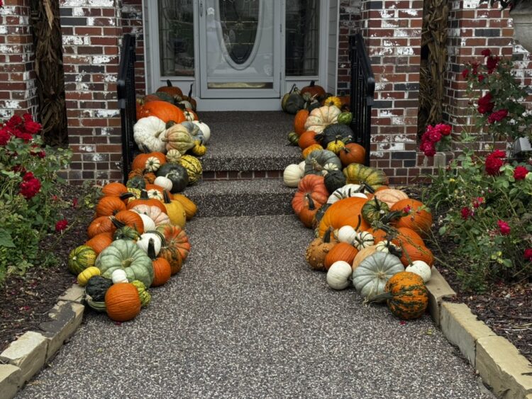 our view edge october 2026 the pumpkin company